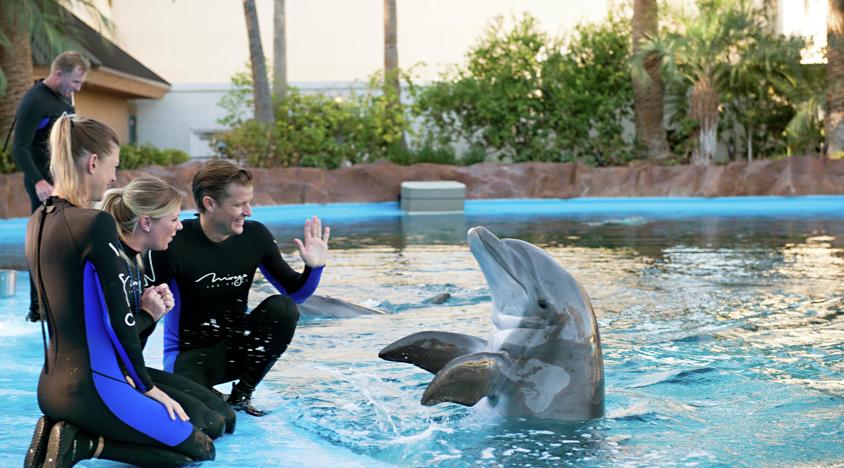 mirage secret garden dolphin habitat trainer waving 1
