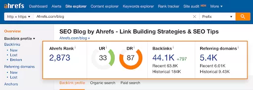 Backlink Checker