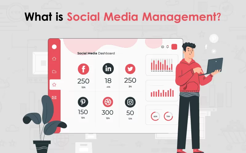 Social Media Management
